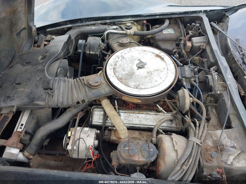 1979 Chevrolet Corvette VIN: 1Z8789S403285 Lot: 44779270