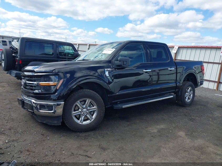 2025 Ford F-150 Xlt