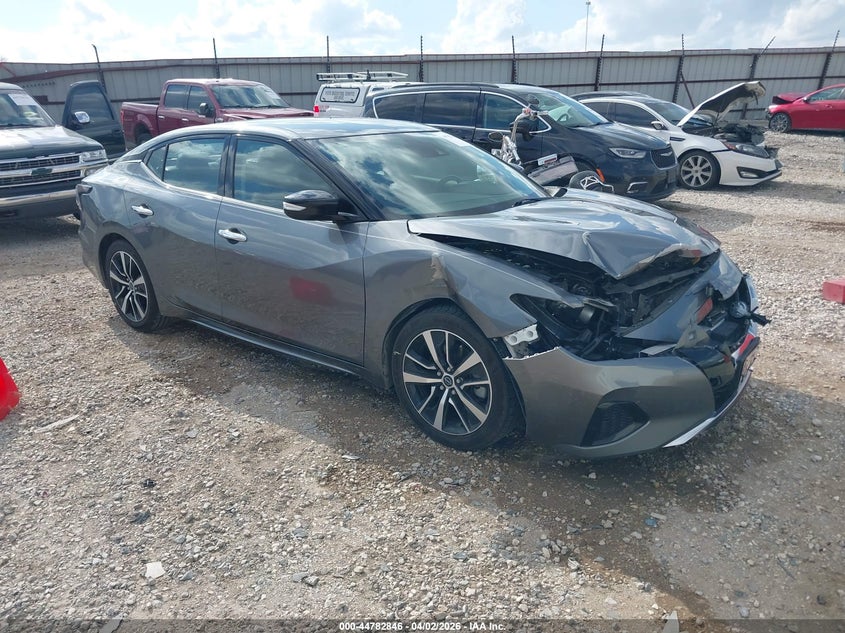 1N4AA6CV5PC510435 2023 Nissan Maxima Sv Xtronic Cvt auction photo 1