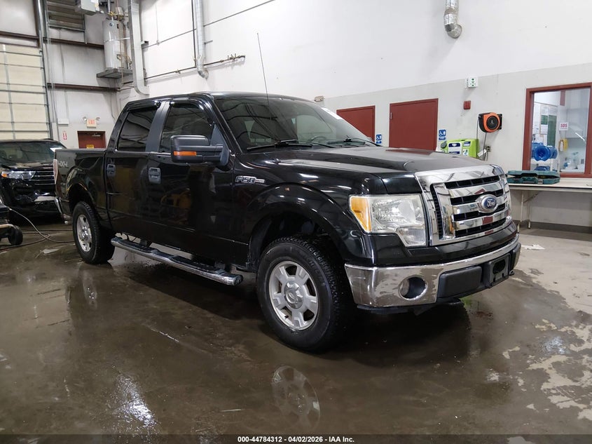 2010 Ford F-150 Fx4/Harley-Davidson/King Ranch/Lariat/Platinum/Xl/Xlt