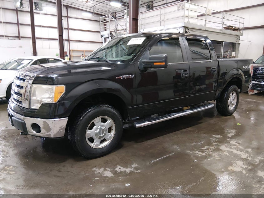2010 Ford F-150 Fx4/Harley-Davidson/King Ranch/Lariat/Platinum/Xl/Xlt
