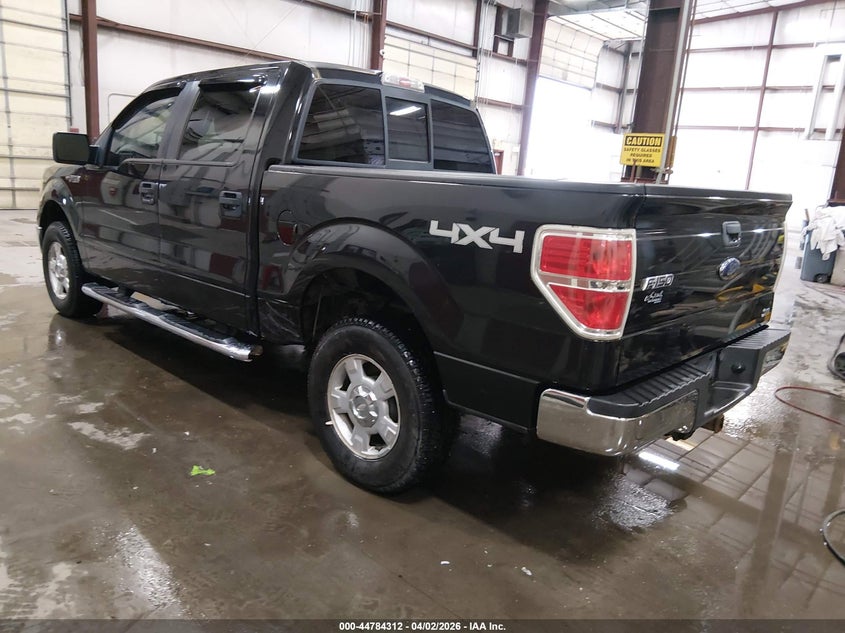 2010 Ford F-150 Fx4/Harley-Davidson/King Ranch/Lariat/Platinum/Xl/Xlt