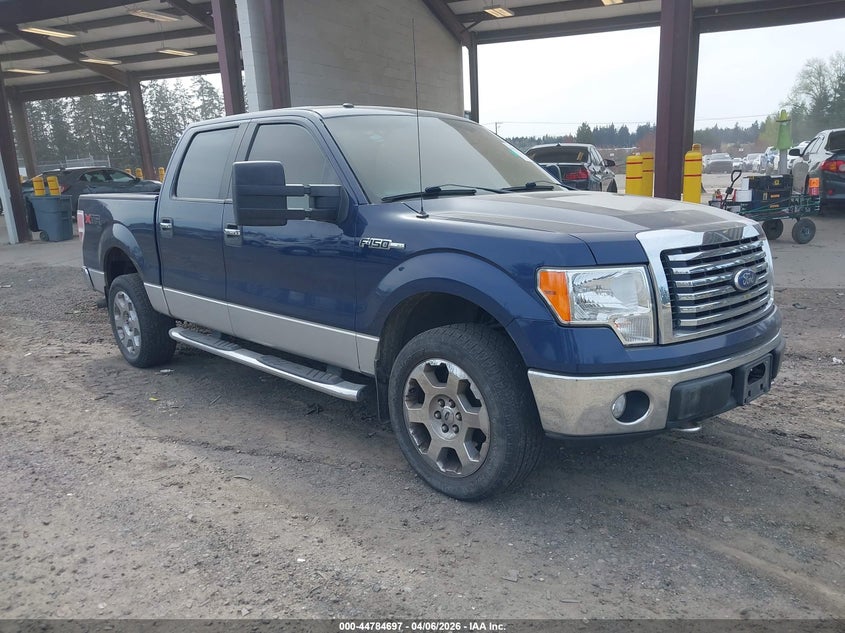 2010 Ford F-150 Fx4/Harley-Davidson/King Ranch/Lariat/Platinum/Xl/Xlt