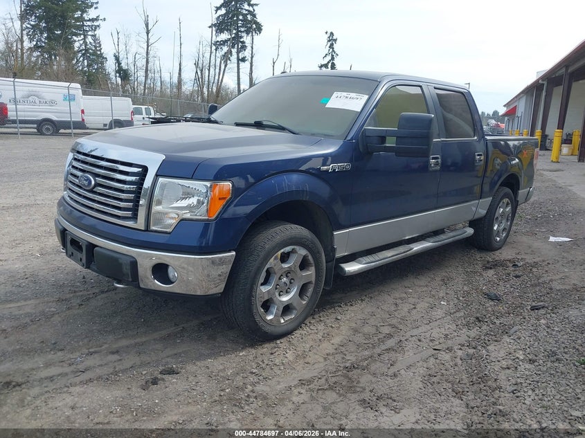 2010 Ford F-150 Fx4/Harley-Davidson/King Ranch/Lariat/Platinum/Xl/Xlt