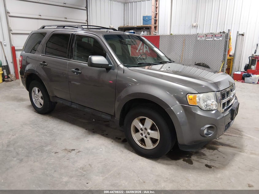 2010 Ford Escape Xlt