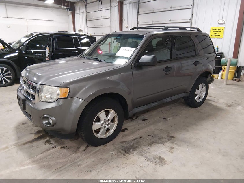 2010 Ford Escape Xlt