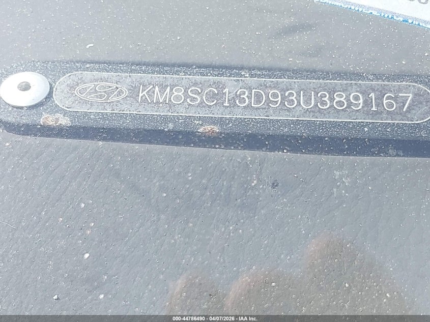 2003 Hyundai Santa Fe Gls/Lx VIN: KM8SC13D93U389167 Lot: 44786490