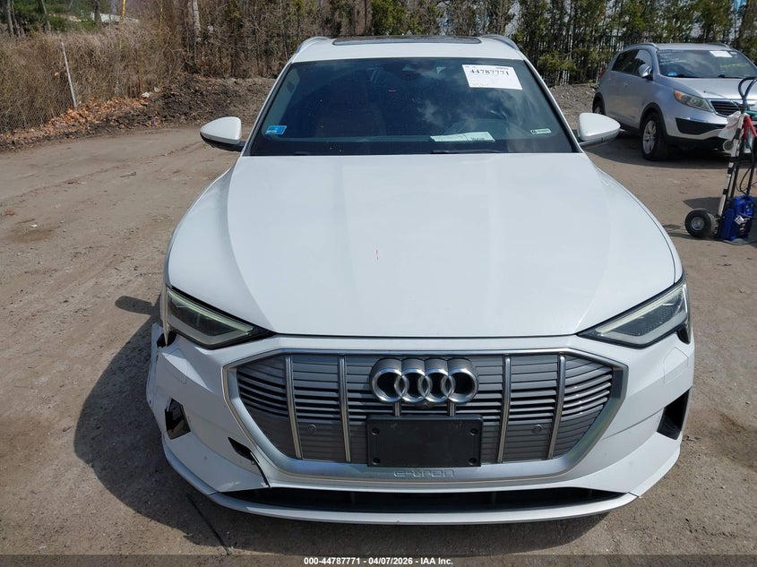 2019 Audi E-Tron Premium Plus VIN: WA1LAAGE9KB018306 Lot: 44787771