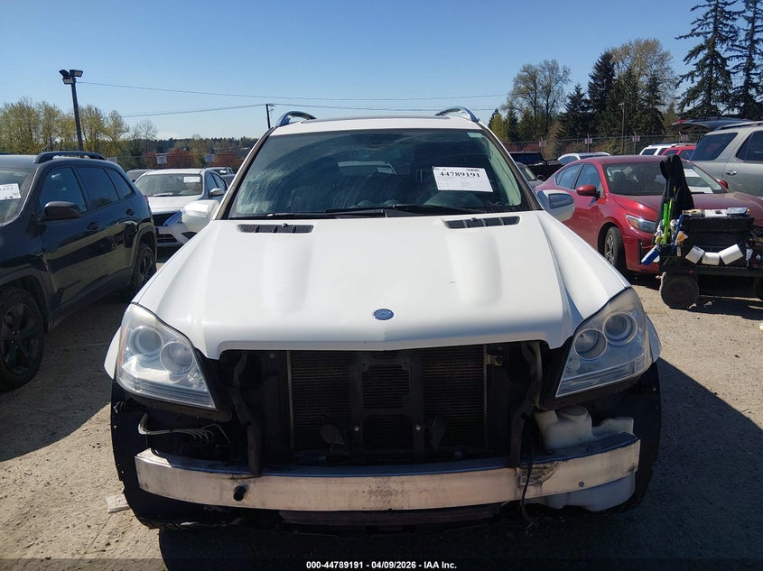 2010 Mercedes-Benz Gl 450 4Matic VIN: 4JGBF7BEXAA543503 Lot: 44789191
