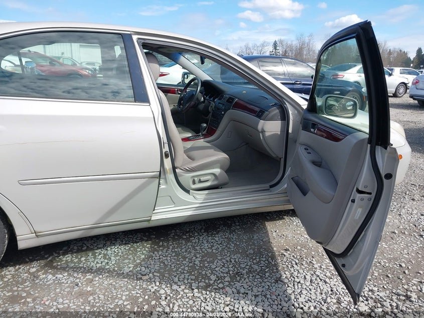 Preview 5