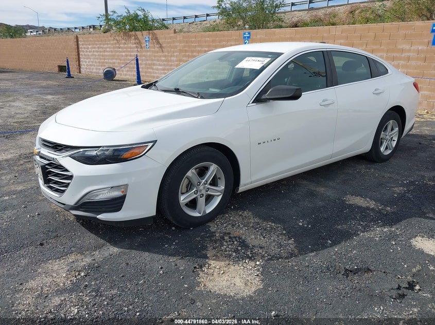 2019 Chevrolet Malibu 1Fl