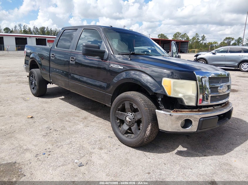 2010 Ford F-150 Fx4/Harley-Davidson/King Ranch/Lariat/Platinum/Xl/Xlt