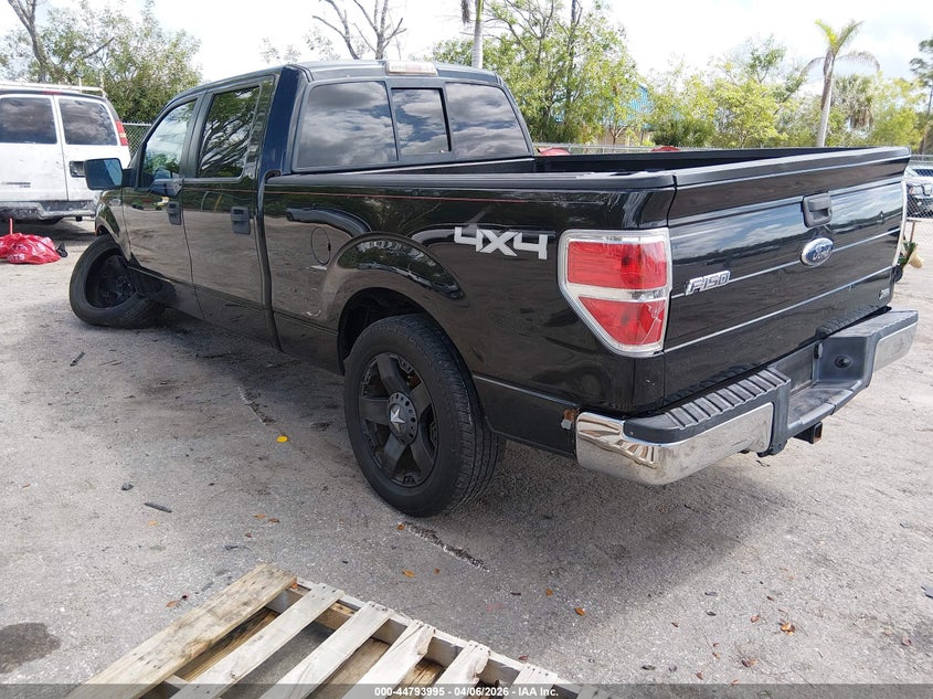 2010 Ford F-150 Fx4/Harley-Davidson/King Ranch/Lariat/Platinum/Xl/Xlt