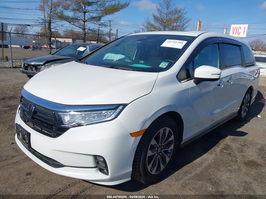 2022 Honda Odyssey Ex-L VIN: 5FNRL6H76NB002136 Lot: 44795200