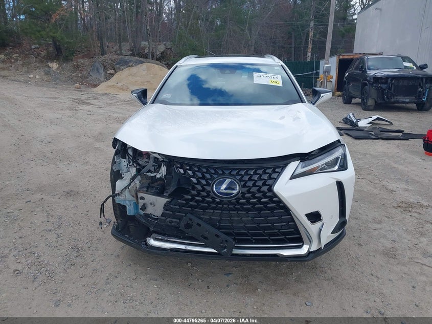 2019 Lexus Ux 250H VIN: JTHU9JBH7K2010434 Lot: 44795265