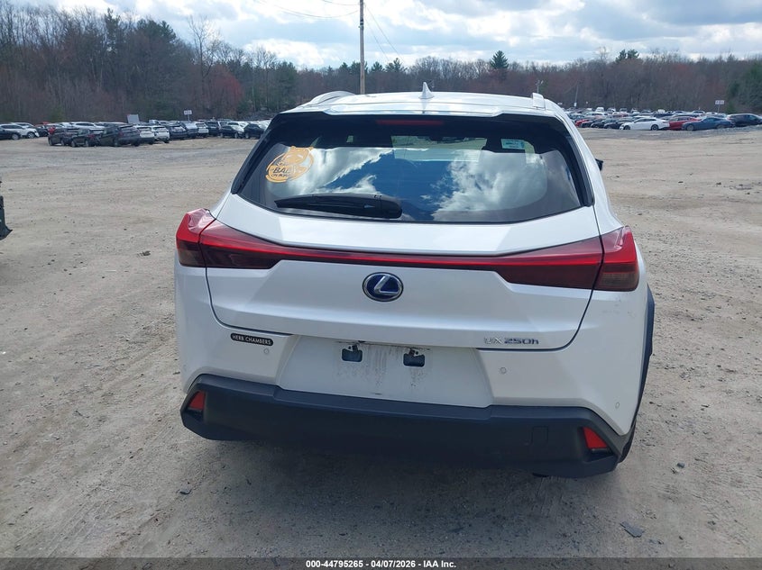 2019 Lexus Ux 250H VIN: JTHU9JBH7K2010434 Lot: 44795265