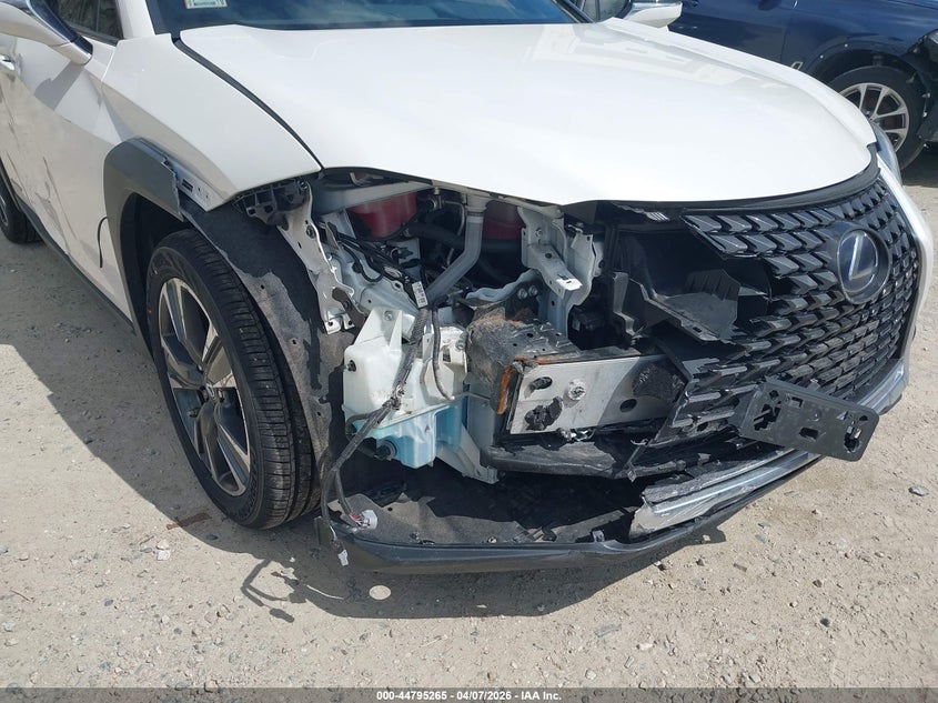 2019 Lexus Ux 250H VIN: JTHU9JBH7K2010434 Lot: 44795265