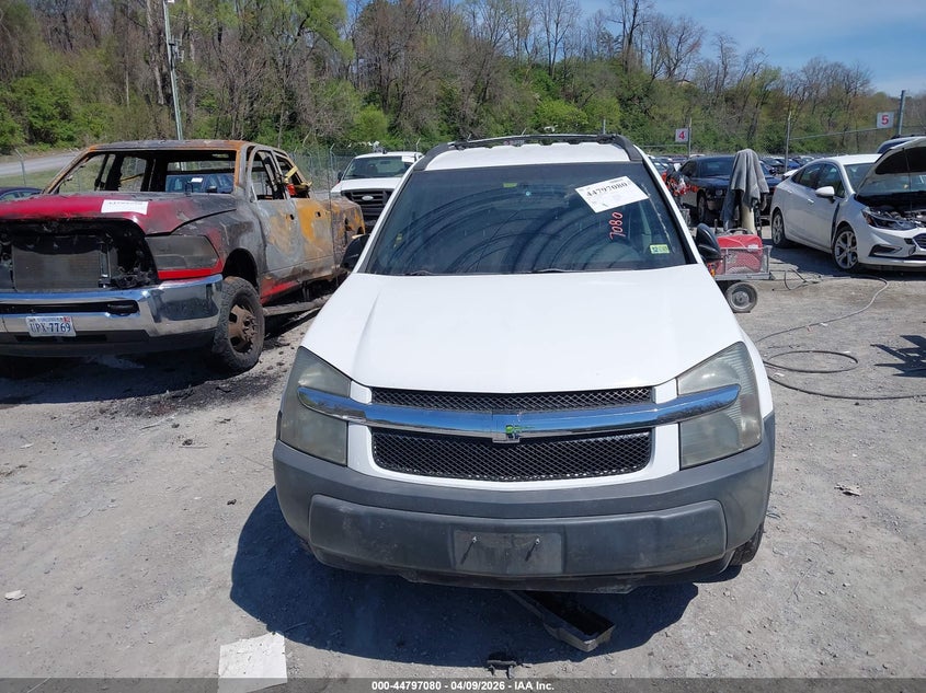 2005 Chevrolet Equinox Ls VIN: 2CNDL13F056184462 Lot: 44797080