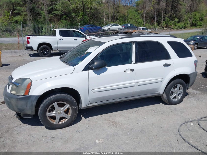 2005 Chevrolet Equinox Ls VIN: 2CNDL13F056184462 Lot: 44797080