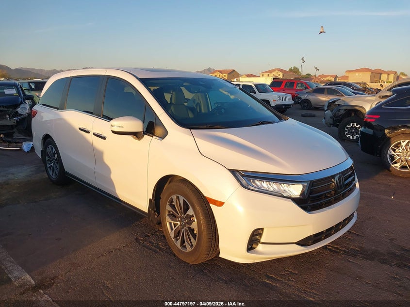 2023 Honda Odyssey Ex-L