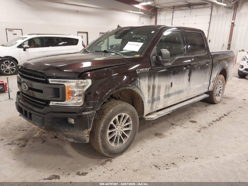 2019 Ford F-150 Xlt 1FTEW1EP3KFD12992 photo 1