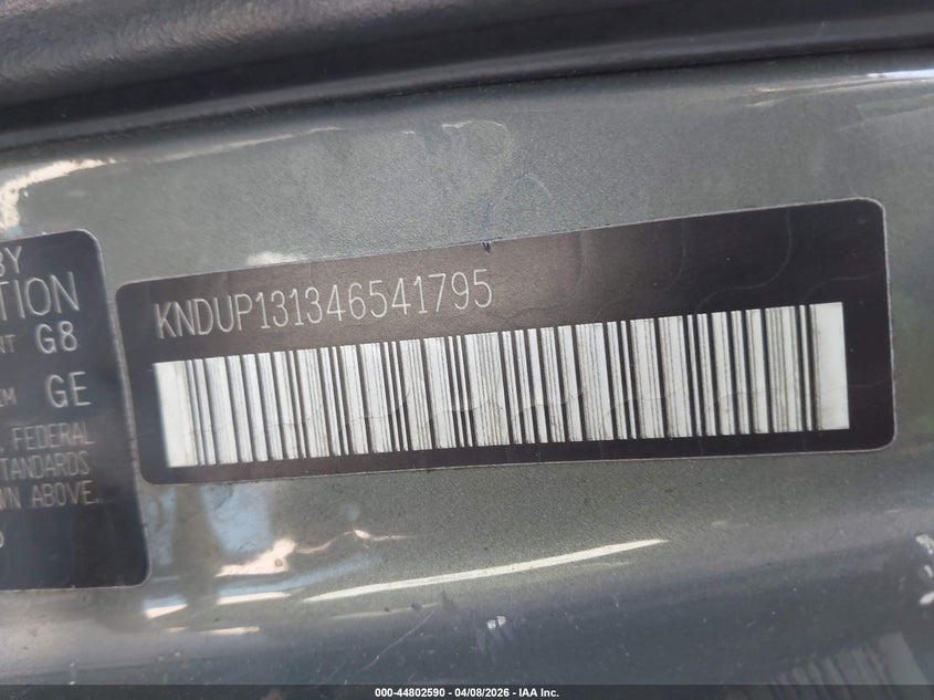 2004 Kia Sedona Ex/Lx VIN: KNDUP131346541795 Lot: 44802590