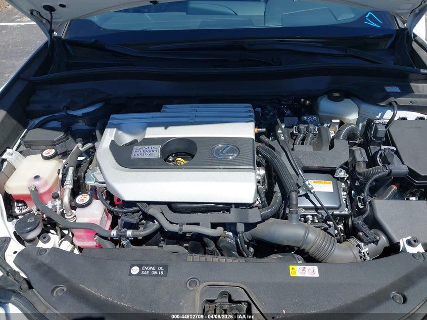 2019 Lexus Ux 250H VIN: JTHU9JBH9K2016512 Lot: 44802709