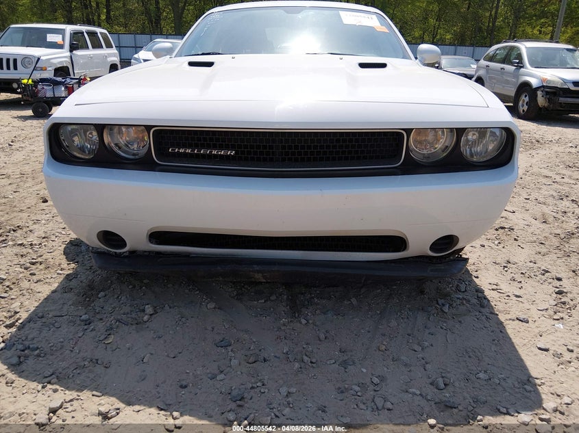 2013 Dodge Challenger Sxt VIN: 2C3CDYAG8DH729011 Lot: 44805542