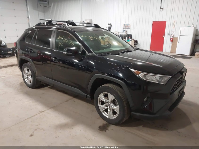 JTMP1RFV0KD012115 2019 Toyota Rav4 Xle auction photo 1