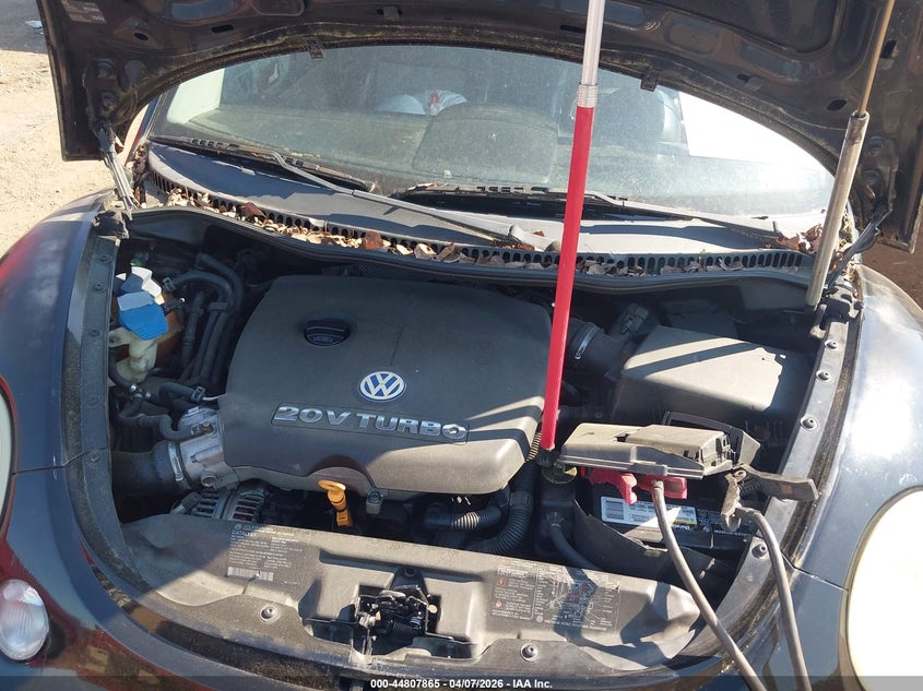 2002 Volkswagen New Beetle Turbo S VIN: 3VWFE21C72M437359 Lot: 44807865