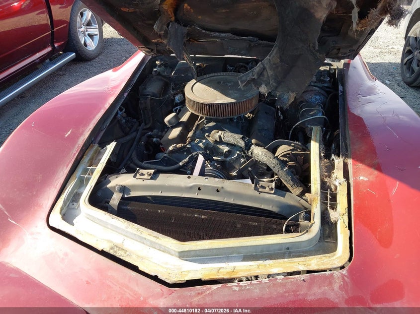 1975 Chevrolet Corvette VIN: 1Z37J5S430041 Lot: 44810182