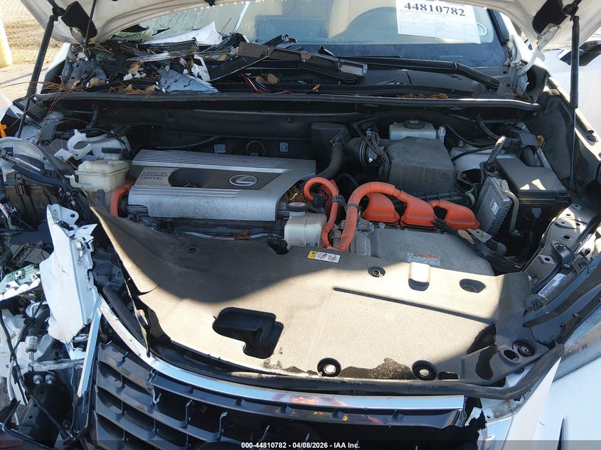 2020 Lexus Nx 300H VIN: JTJDJRDZ8L5010162 Lot: 44810782