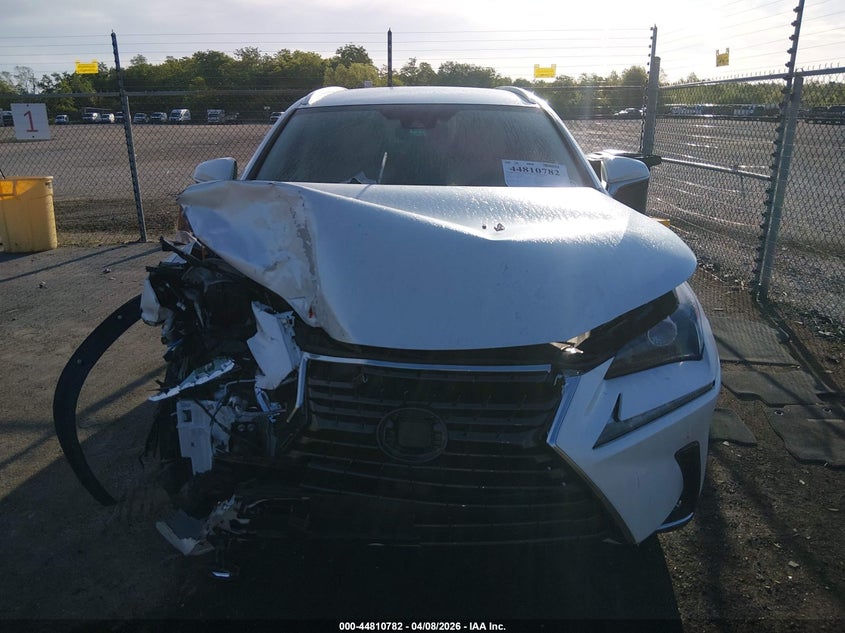 2020 Lexus Nx 300H VIN: JTJDJRDZ8L5010162 Lot: 44810782