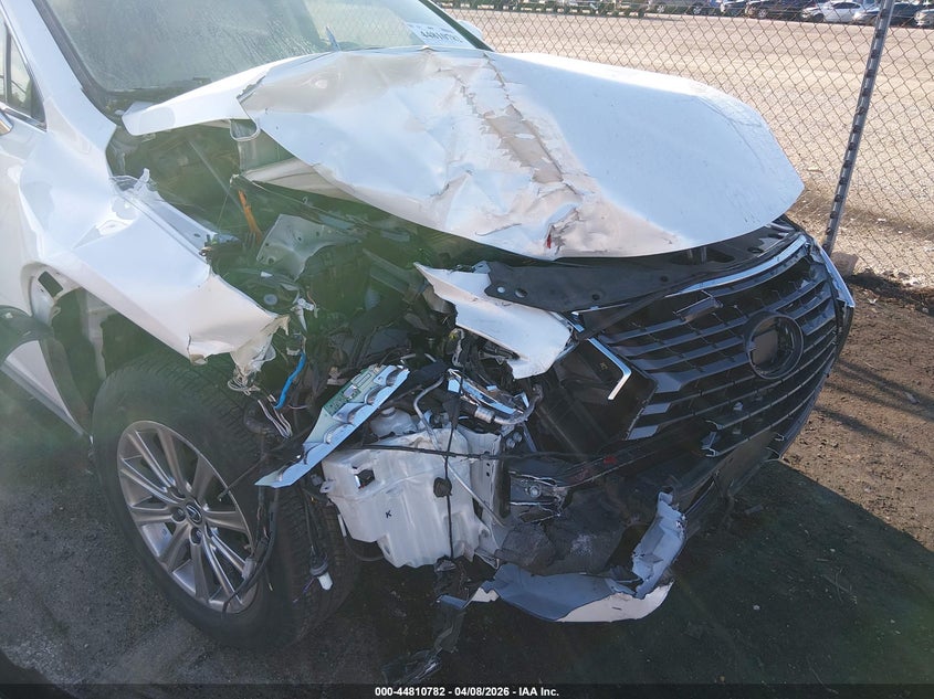 2020 Lexus Nx 300H VIN: JTJDJRDZ8L5010162 Lot: 44810782