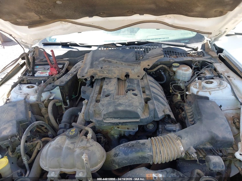 1FA6P8TH5G5246230 2016 Ford Mustang 2.3 Ecoboost white