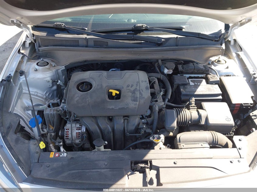 2021 Kia Forte Lxs VIN: 3KPF24AD4ME338821 Lot: 44811027