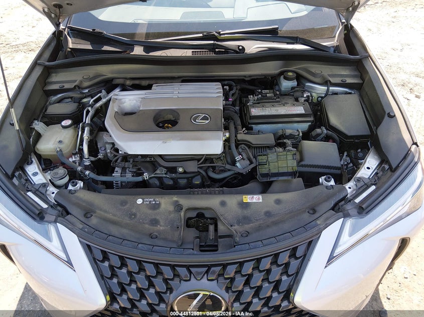 2019 Lexus Ux 200 VIN: JTHY3JBH5K2013786 Lot: 44812501