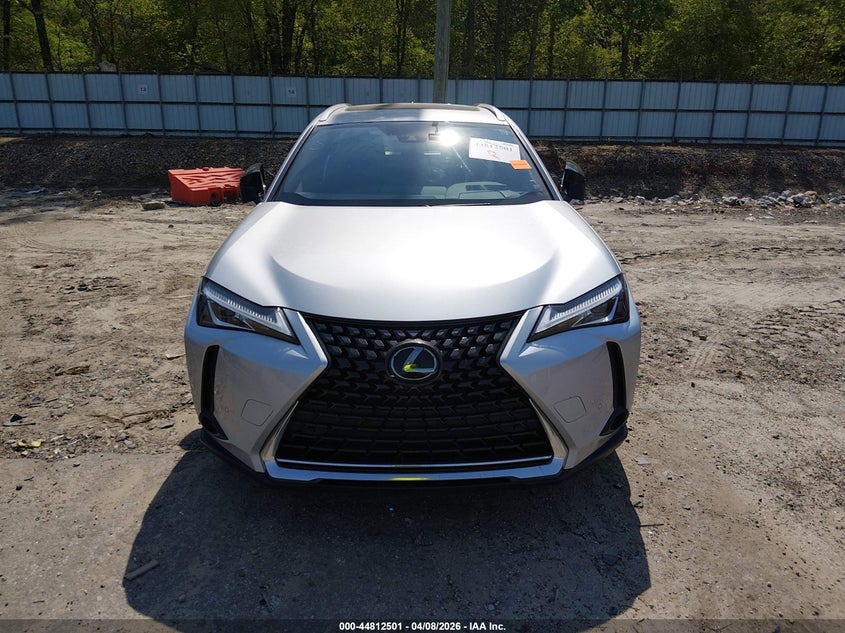 2019 Lexus Ux 200 VIN: JTHY3JBH5K2013786 Lot: 44812501
