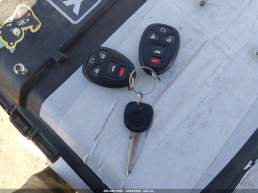 2008 Chevrolet Cobalt Sport VIN: 1G1AM18B687258958 Lot: 44813929