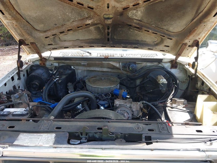 1982 Ford Bronco U100 VIN: 1FMDU15G3CLA31338 Lot: 44815880