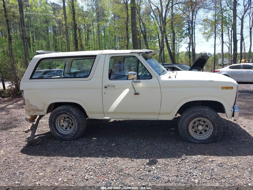 1982 Ford Bronco U100 VIN: 1FMDU15G3CLA31338 Lot: 44815880