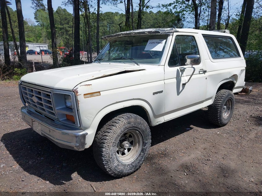 1982 Ford Bronco U100