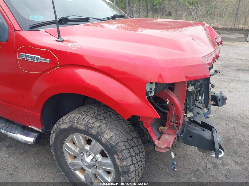 2012 Ford F-150 Xlt VIN: 1FTFW1EF4CFC90370 Lot: 44816241