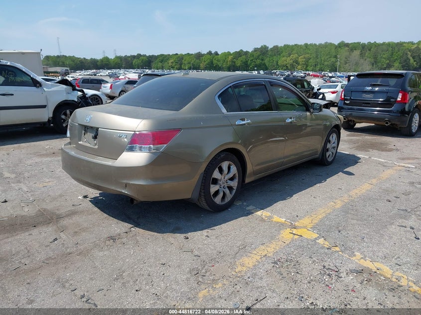 AtlanticExpress - Honda Accord