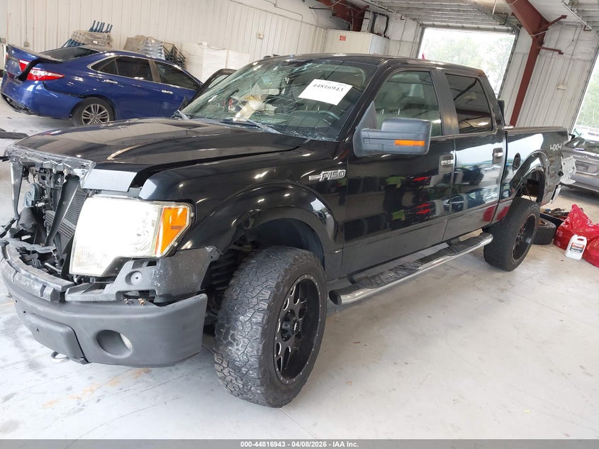 2009 Ford F-150 Fx4/King Ranch/Lariat/Platinum/Xl/Xlt