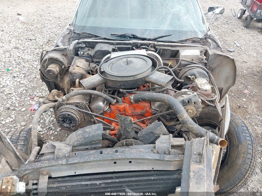 1975 Chevrolet Corvette VIN: 1C67J5S431855 Lot: 44817609