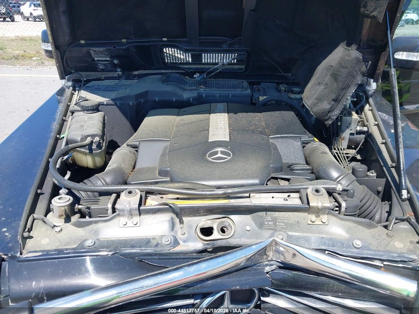 2003 Mercedes-Benz G 500 VIN: WDCYR49E03X141624 Lot: 44817757
