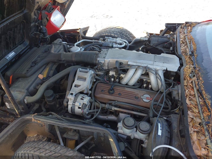 1989 Chevrolet Corvette VIN: 1G1YY2186K5102395 Lot: 44817793