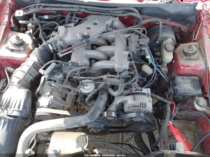 1999 Ford Mustang VIN: 1FAFP4049XF145471 Lot: 44818306