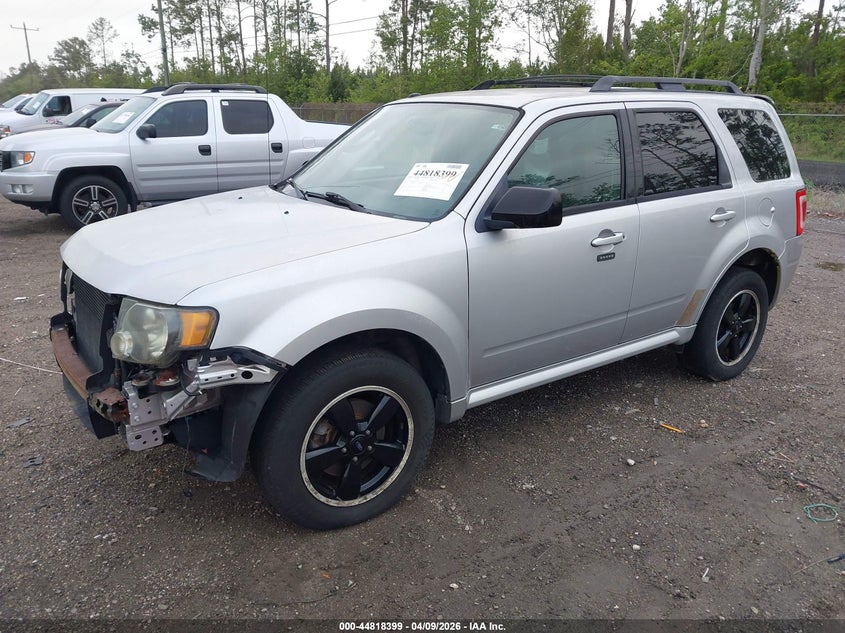 2010 Ford Escape Xlt